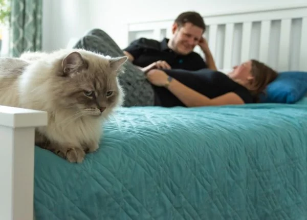 sesja ciążówa w domu łódź kot na tle pary leżącej na łóżku RM 02