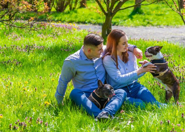 Fotograf psów Łódź para bawi się z psami na trawie